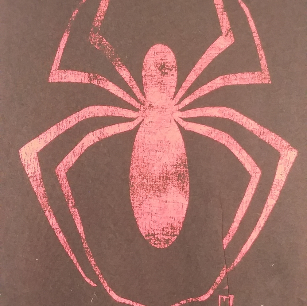 Spiderman tee